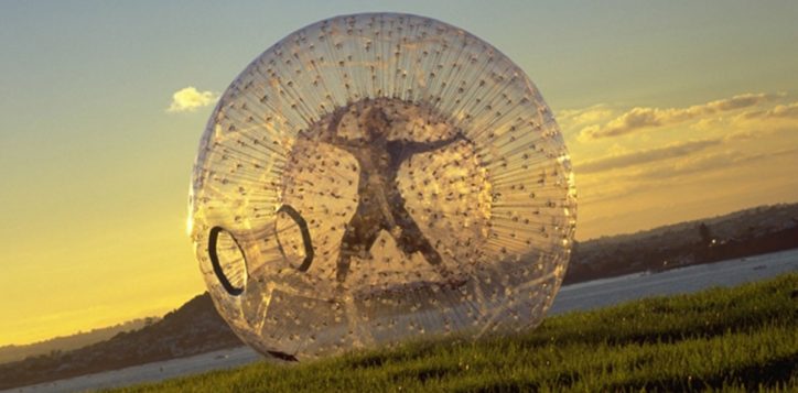 zorb-2