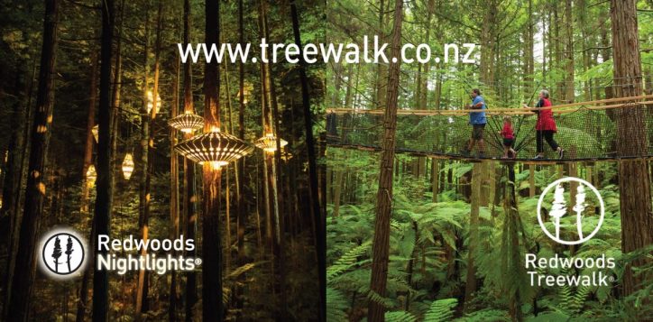 night-and-day-image-2